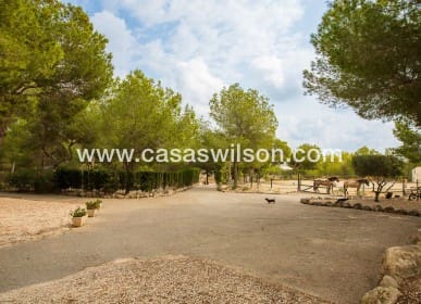 4 bedroom Finca/Country House for sale in Torremendo with pool - € 544,990 (Ref: 9844473)