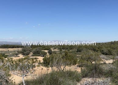 Building Plot for sale in San Fulgencio - € 185,000 (Ref: 9848111)