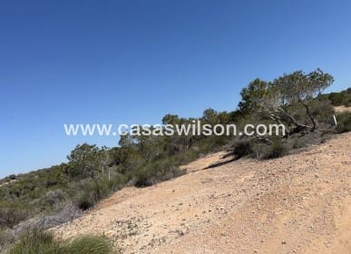 Building Plot for sale in San Fulgencio - € 185,000 (Ref: 9848111)