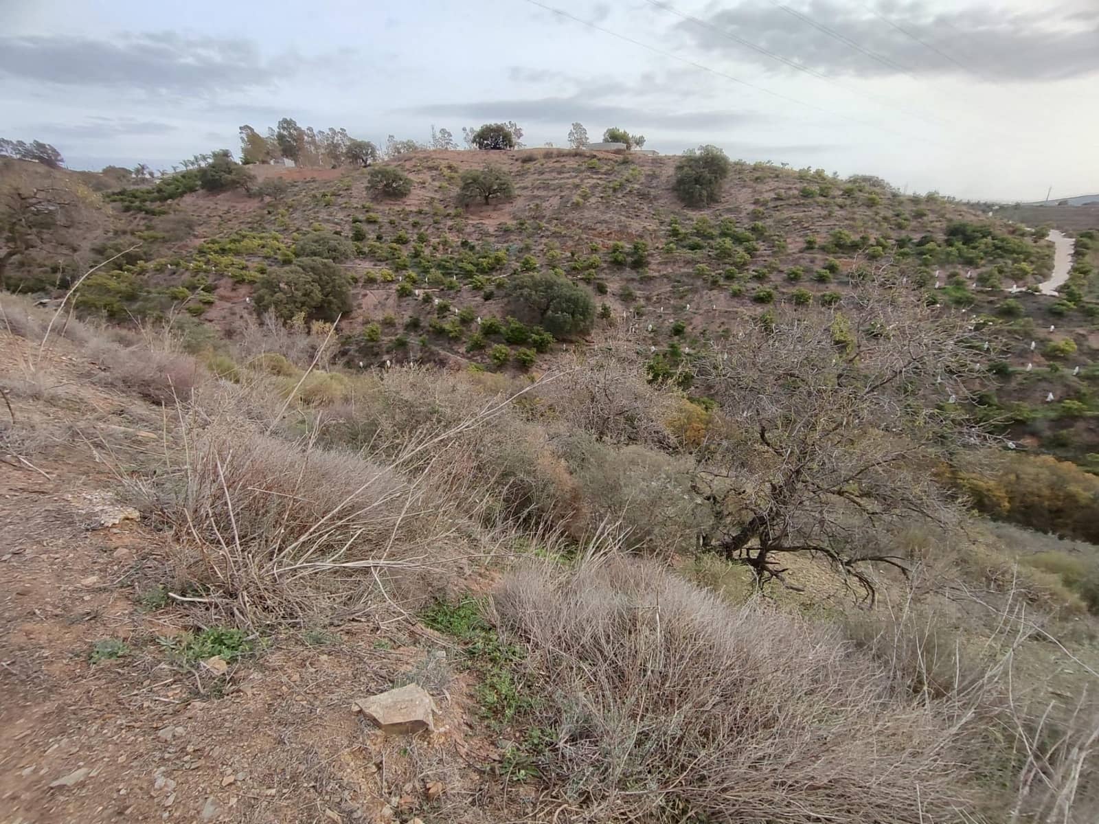 3 bedroom Finca/Country House for sale in Alhaurin el Grande - € 189,739 (Ref: 9369126)