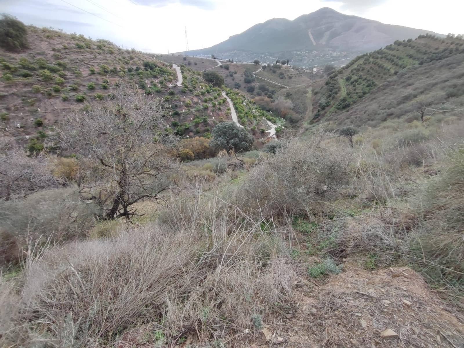 3 bedroom Finca/Country House for sale in Alhaurin el Grande - € 189,739 (Ref: 9369126)