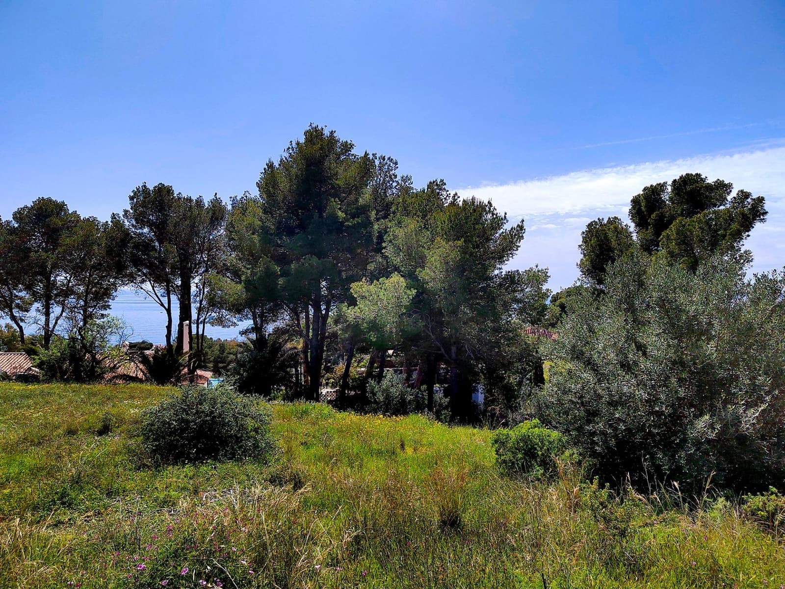 Tontti myytävänä paikassa Torremuelle - 549 981 € (Ref: 9410941)