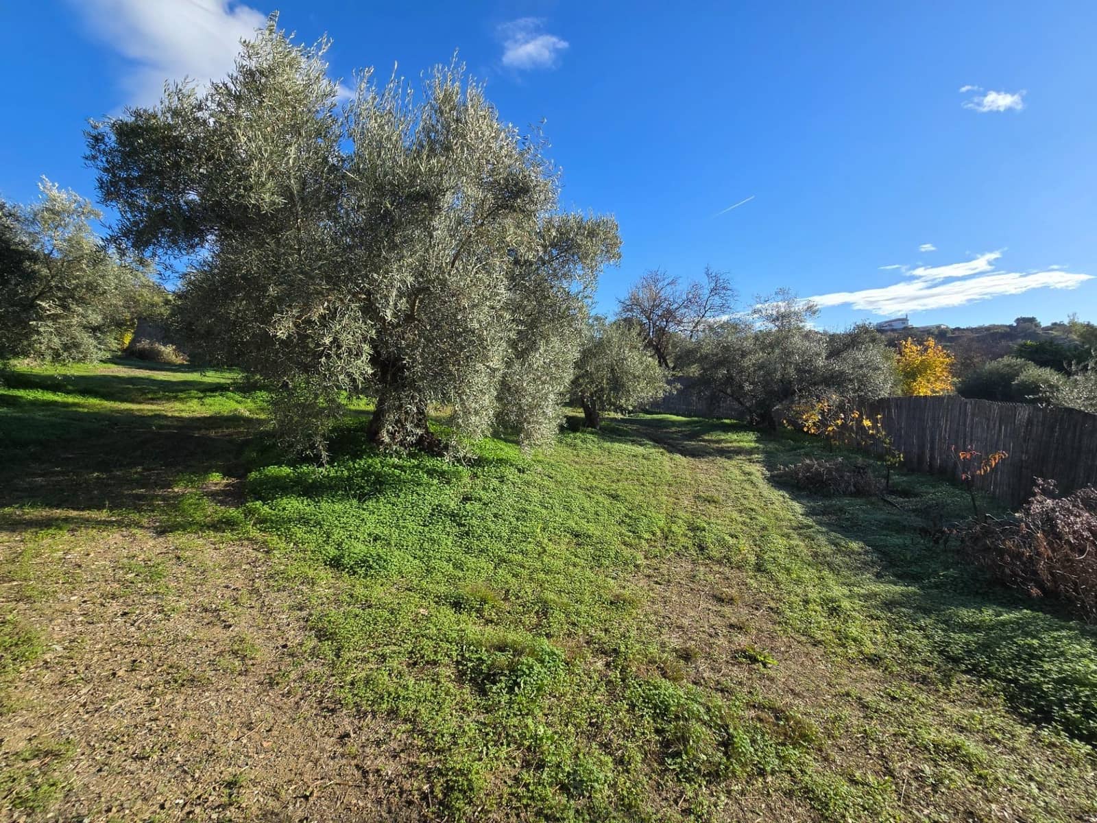 Finca/Casa Rural de 5 habitaciones en Monda en venta con piscina garaje - 1.180.000 € (Ref: 9499016)