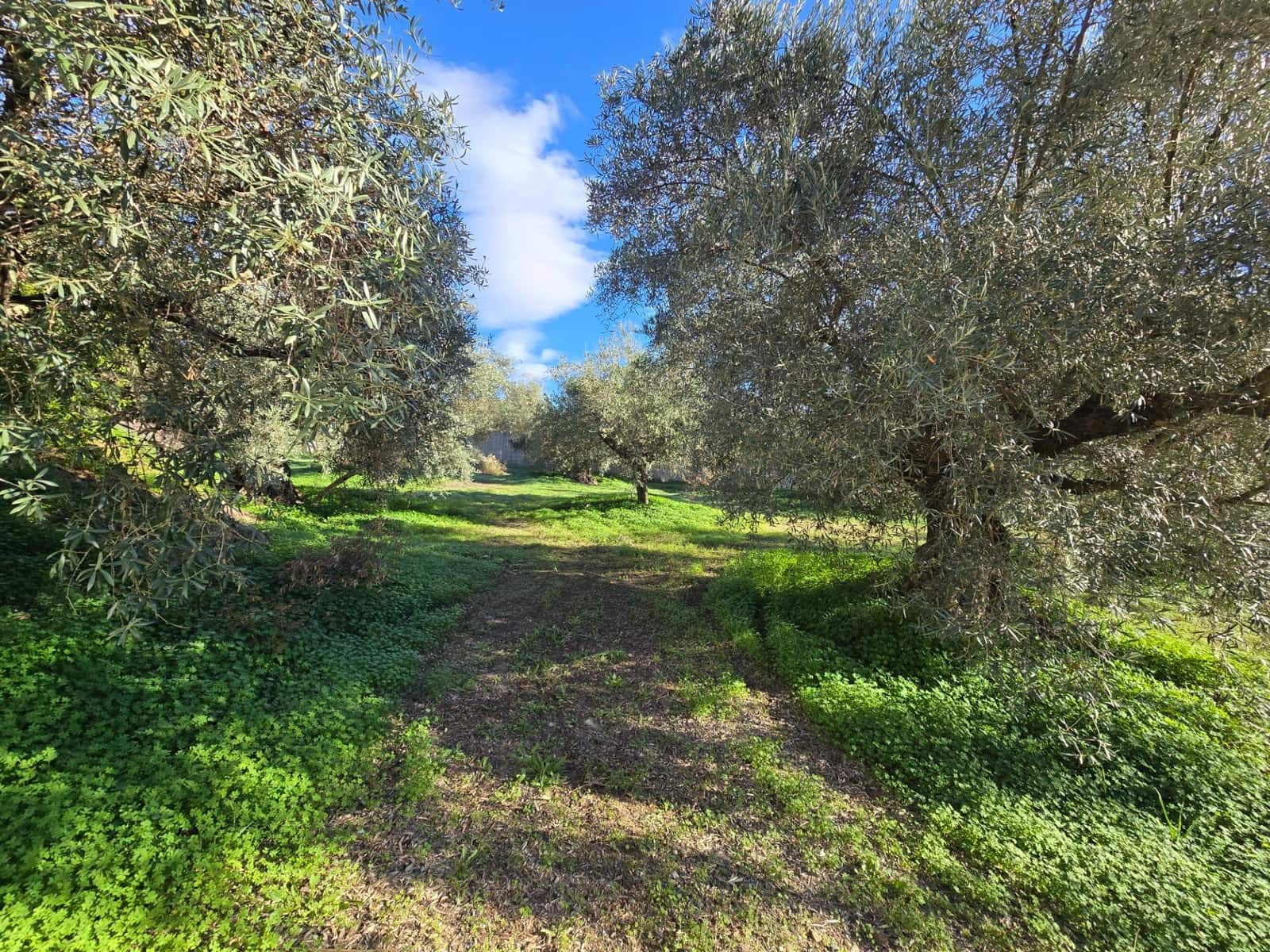 5 bedroom Finca/Country House for sale in Monda with pool garage - € 1,095,000 (Ref: 9499016)