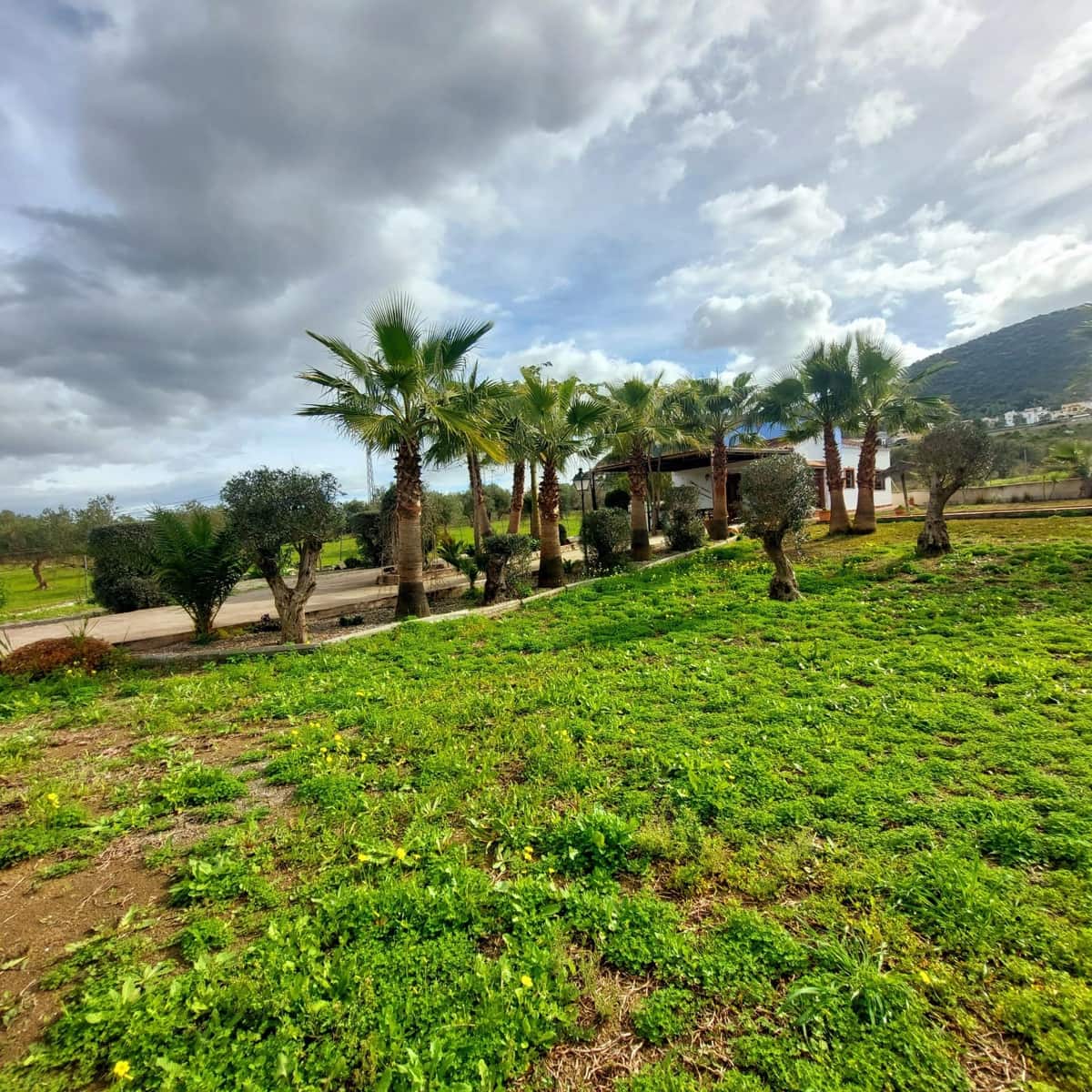 3 sovrum Finca/Hus på landet till salu i Coin med pool garage - 364 000 € (Ref: 9591233)