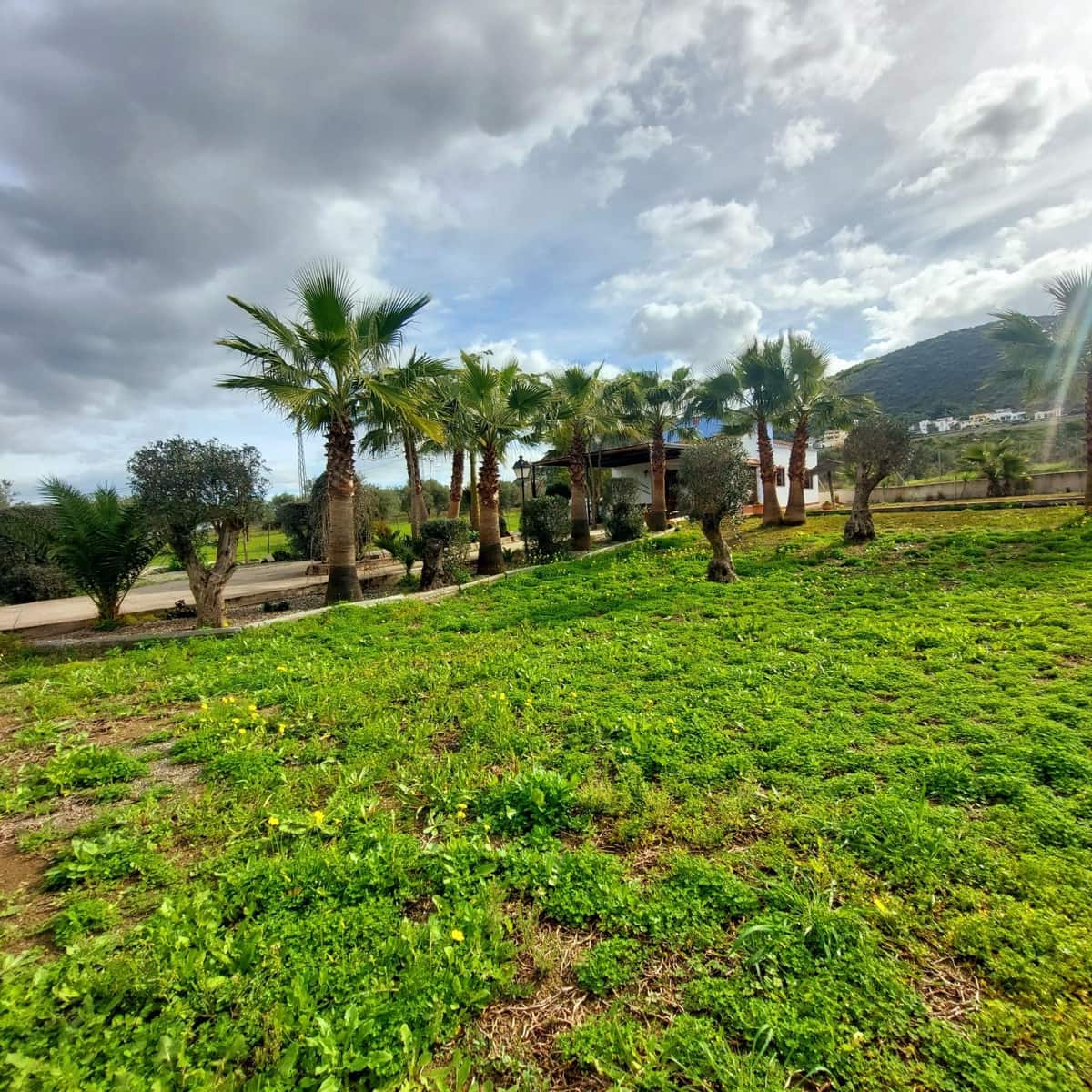 3 sovrum Finca/Hus på landet till salu i Coin med pool garage - 364 000 € (Ref: 9591233)