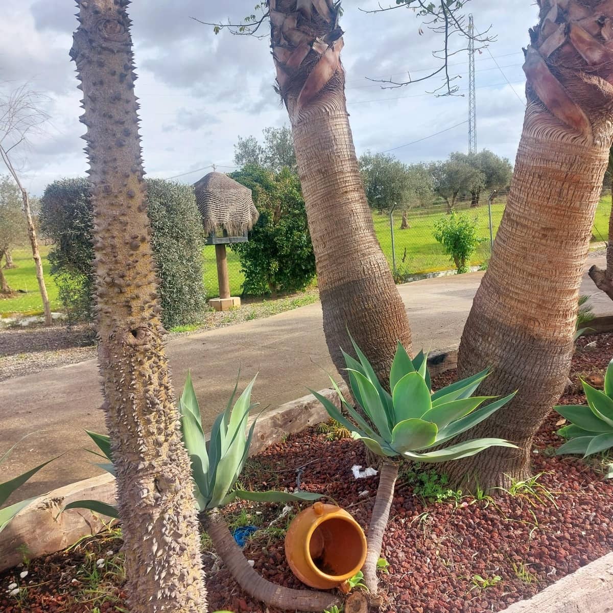 3 sovrum Finca/Hus på landet till salu i Coin med pool garage - 364 000 € (Ref: 9591233)