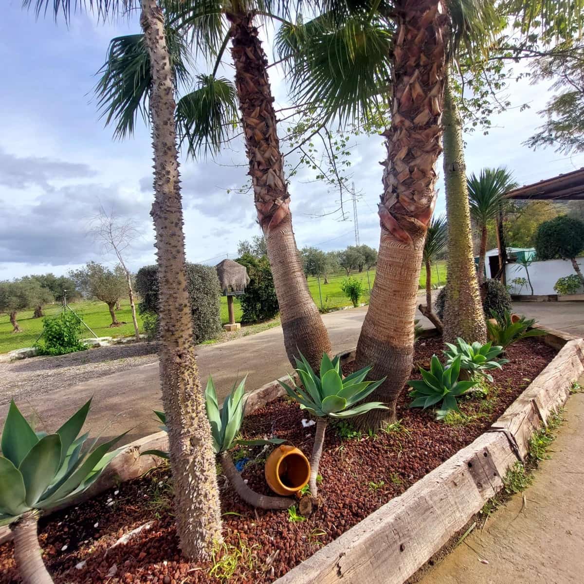 3 sovrum Finca/Hus på landet till salu i Coin med pool garage - 364 000 € (Ref: 9591233)