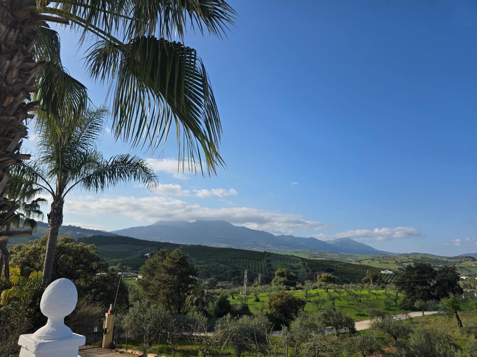 3 Zimmer Finca/Landgut zu verkaufen in Coin mit Pool Garage - 480.000 € (Ref: 9719892)