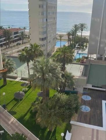 1 bedroom Flat for rent in Cabo de las Huertas, Alicante / Alacant city - € 1,000 (Ref: 10021846)