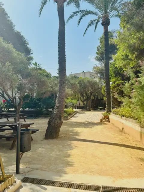 3 soveværelse Lejlighed til leje i El Campello med swimmingpool garage - € 1.400 (Ref: 10097407)