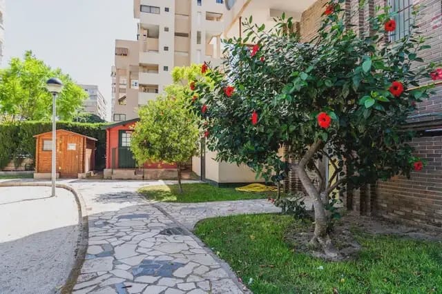 2 bedroom Flat for sale in Alicante / Alacant city with pool garage - € 320,000 (Ref: 10101423)
