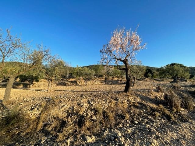 Finca/Country House for sale in Biar - € 23,000 (Ref: 6129223)