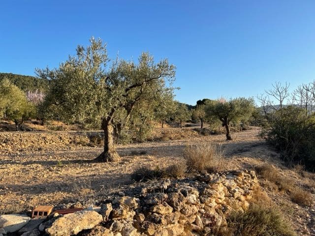 Quinta/Casa Rural para venda em Biar - 23 000 € (Ref: 6129223)