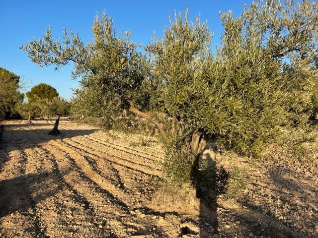 Finca/Country House for sale in Biar - € 23,000 (Ref: 6129223)