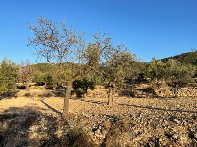 Quinta/Casa Rural para venda em Biar - 23 000 € (Ref: 6129223)