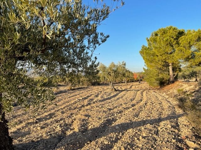 Finca/Country House for sale in Biar - € 23,000 (Ref: 6129223)