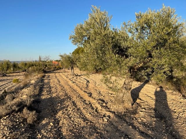 Quinta/Casa Rural para venda em Biar - 23 000 € (Ref: 6129223)