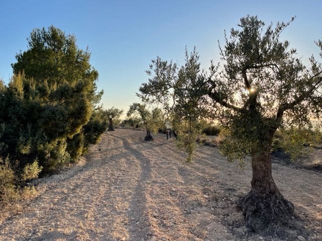 Finca/Country House for sale in Biar - € 23,000 (Ref: 6129223)