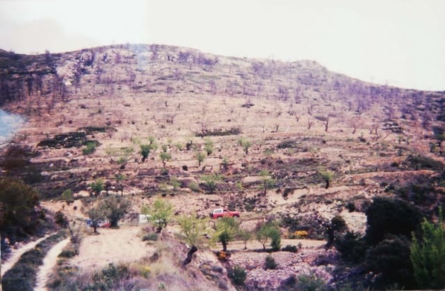 Finca/Country House for sale in La Torre de les Maçanes, Torremanzanas - € 227,000 (Ref: 7292287)