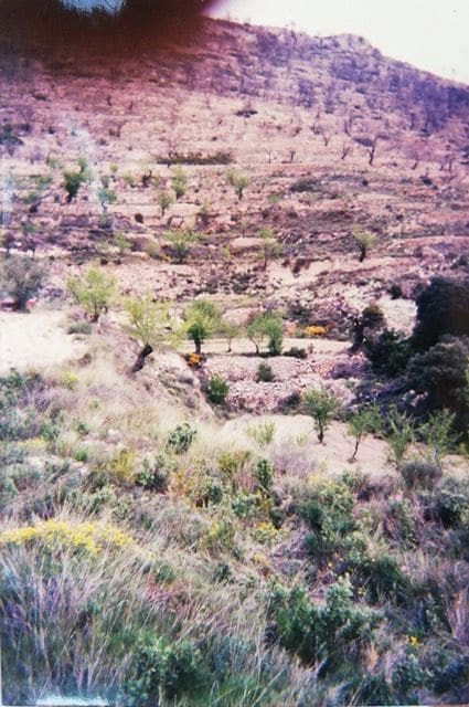 Finca/Herregård til salgs i La Torre de les Macanes - € 227 000 (Ref: 7292287)