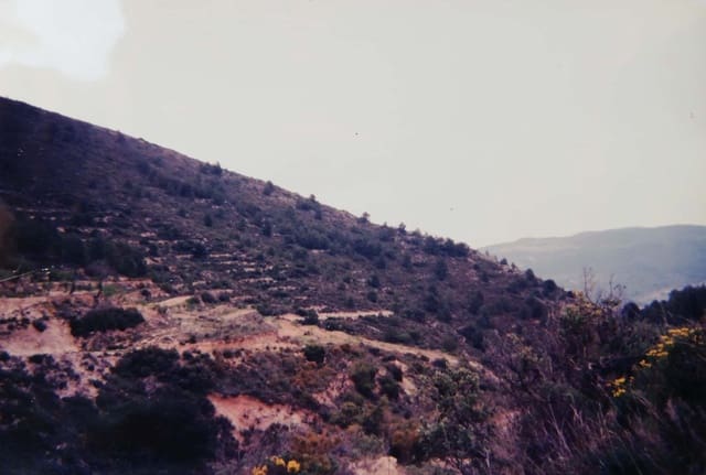 Finca/Country House for sale in La Torre de les Maçanes, Torremanzanas - € 227,000 (Ref: 7292287)