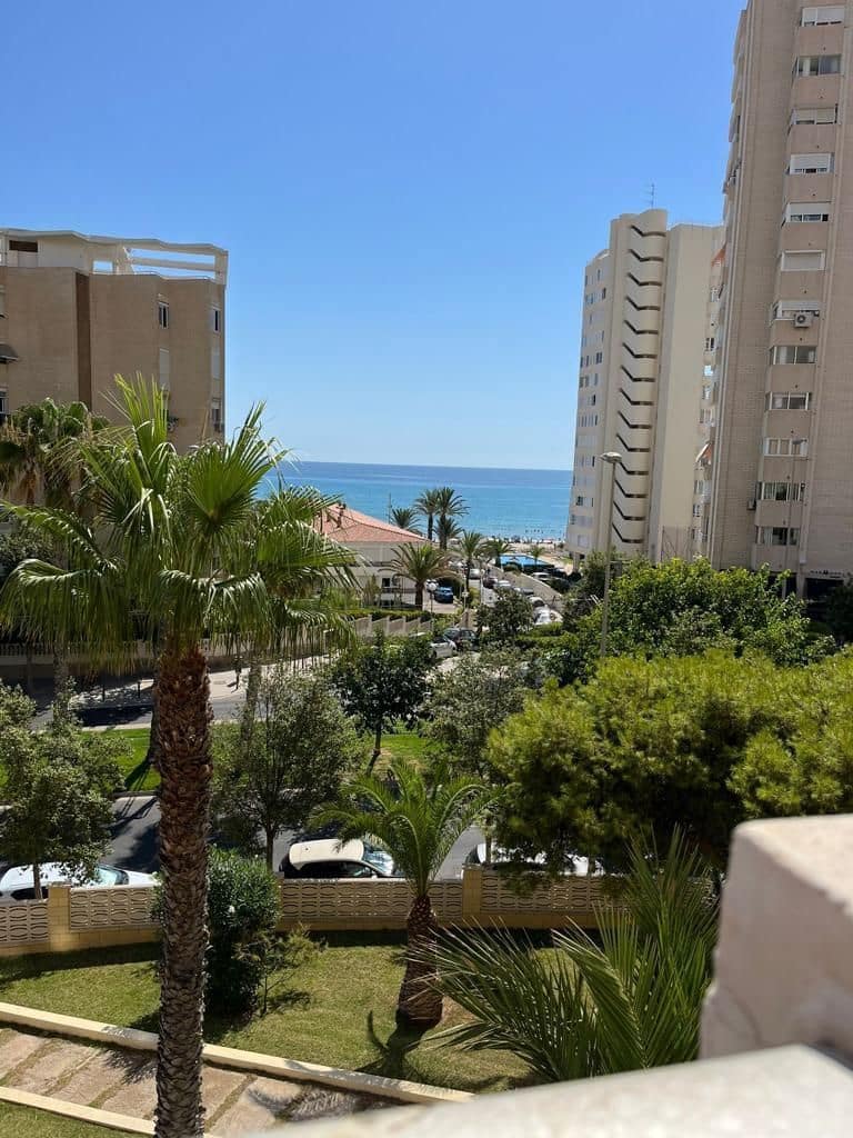 3 soveværelse Lejlighed til leje i Alicante by med swimmingpool garage - € 1.500 (Ref: 7295697)