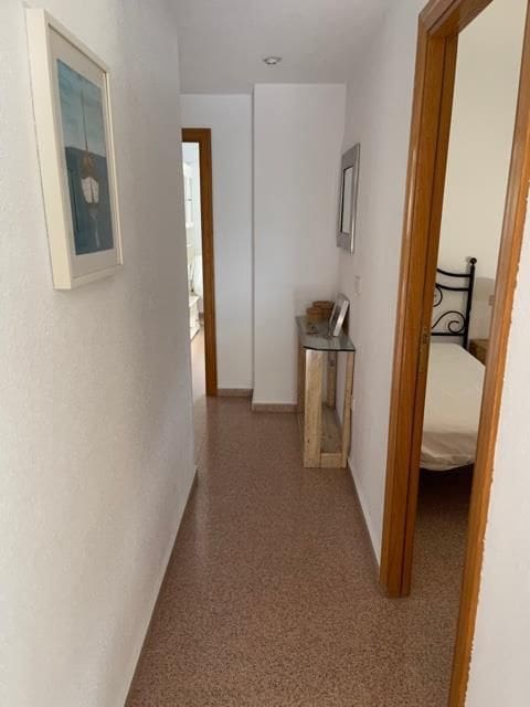 3 makuuhuone Asunto vuokrattavana paikassa Alicante kaupunki mukana uima-altaan 
autotalli - 1 800 € (Ref: 7537344)