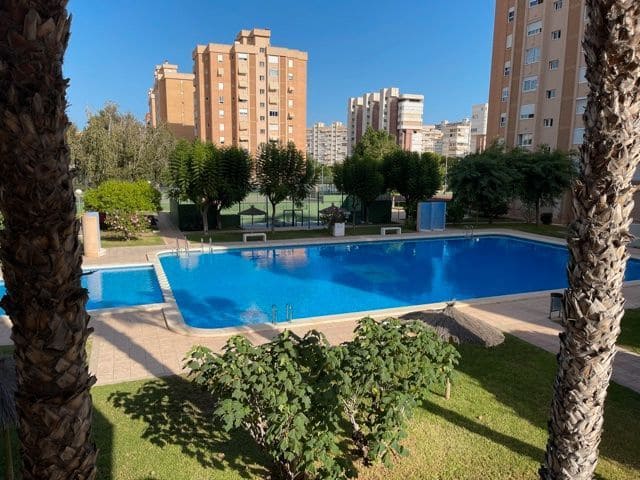 3 makuuhuone Asunto vuokrattavana paikassa Alicante kaupunki mukana uima-altaan 
autotalli - 1 800 € (Ref: 7537344)