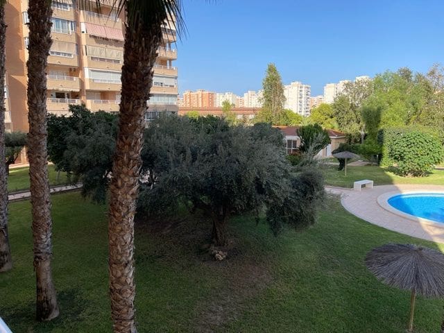 3 makuuhuone Asunto vuokrattavana paikassa Alicante kaupunki mukana uima-altaan 
autotalli - 1 800 € (Ref: 7537344)