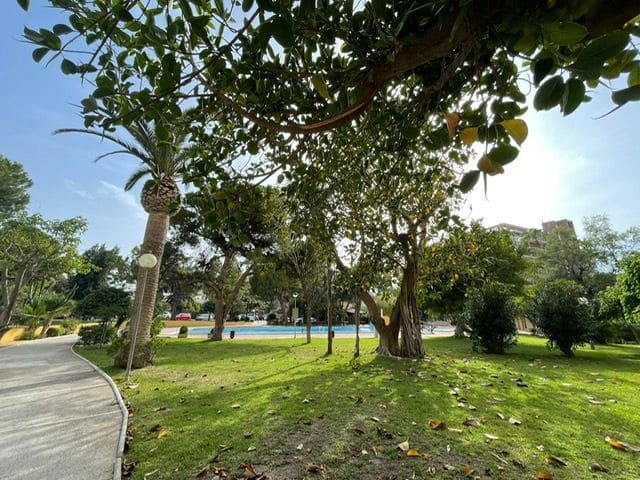 2 soveværelse Lejlighed til leje i Alicante by med swimmingpool garage - € 950 (Ref: 7596612)