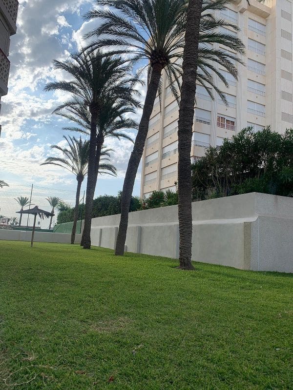 1 bedroom Flat for rent in Alicante / Alacant city with pool - € 850 (Ref: 7596613)