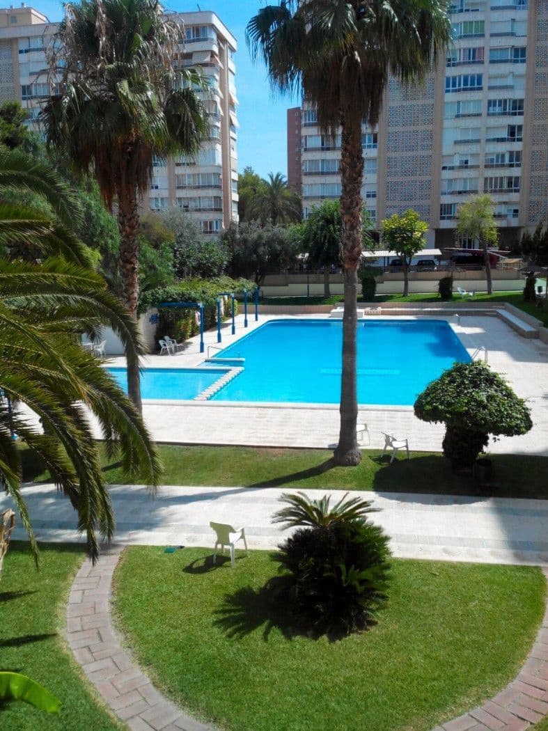 3 slaapkamer Appartement te huur in Alicante stad met zwembad garage - € 1.800 (Ref: 7682746)