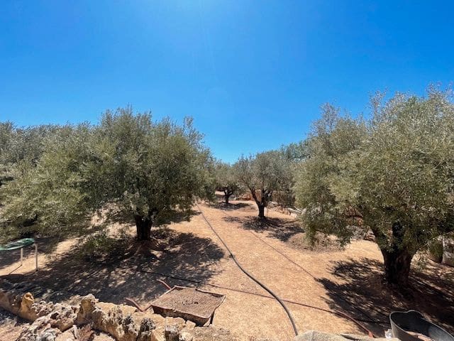 5 bedroom Villa for sale in San Vicente / Sant Vicent del Raspeig with pool garage - € 450,000 (Ref: 8310089)