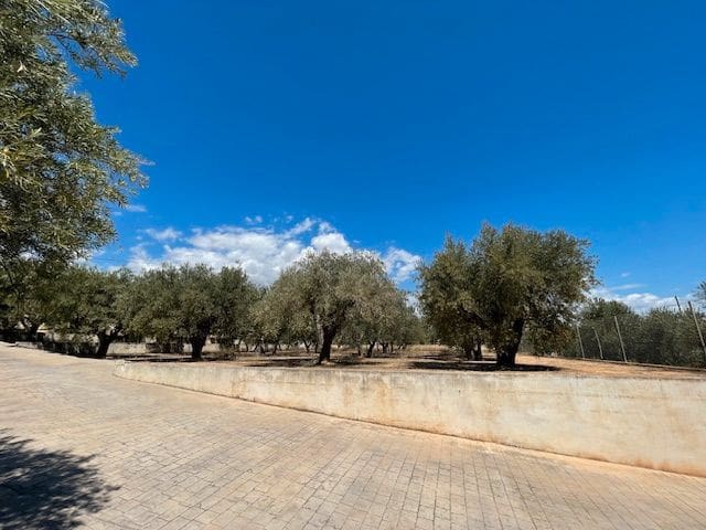 5 bedroom Villa for sale in San Vicente / Sant Vicent del Raspeig with pool garage - € 450,000 (Ref: 8310089)