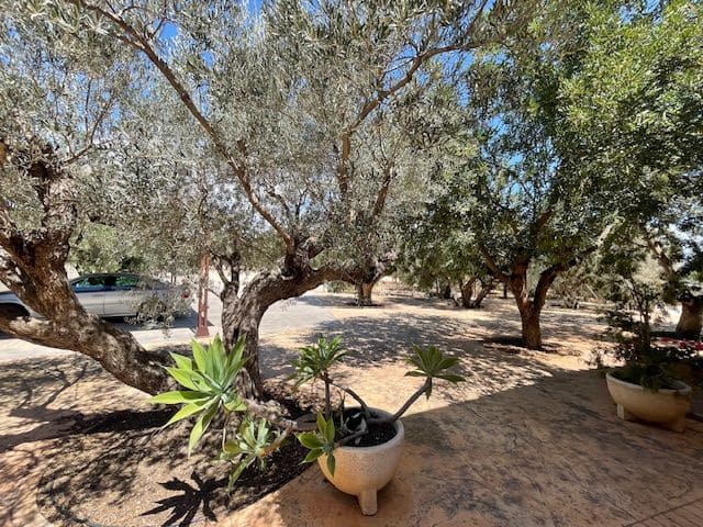 5 bedroom Villa for sale in San Vicente / Sant Vicent del Raspeig with pool garage - € 450,000 (Ref: 8310089)