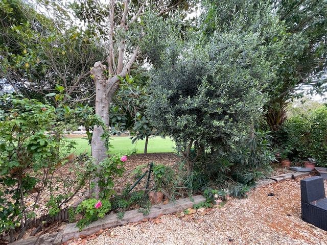 3 soveværelse Rækkehus til leje i Alicante by med swimmingpool garage - € 1.850 (Ref: 8361793)