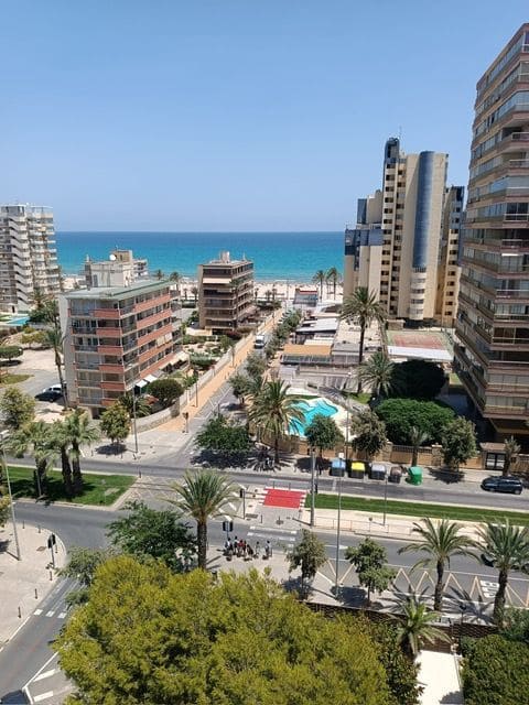 2 soverom Leilighet til leie i Alicante by med svømmebasseng garasje - € 1 100 (Ref: 8382199)