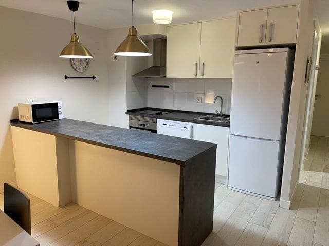 Piso de 1 habitación en Alicante / Alacant ciudad en alquiler con garaje - 990 € (Ref: 8666425)