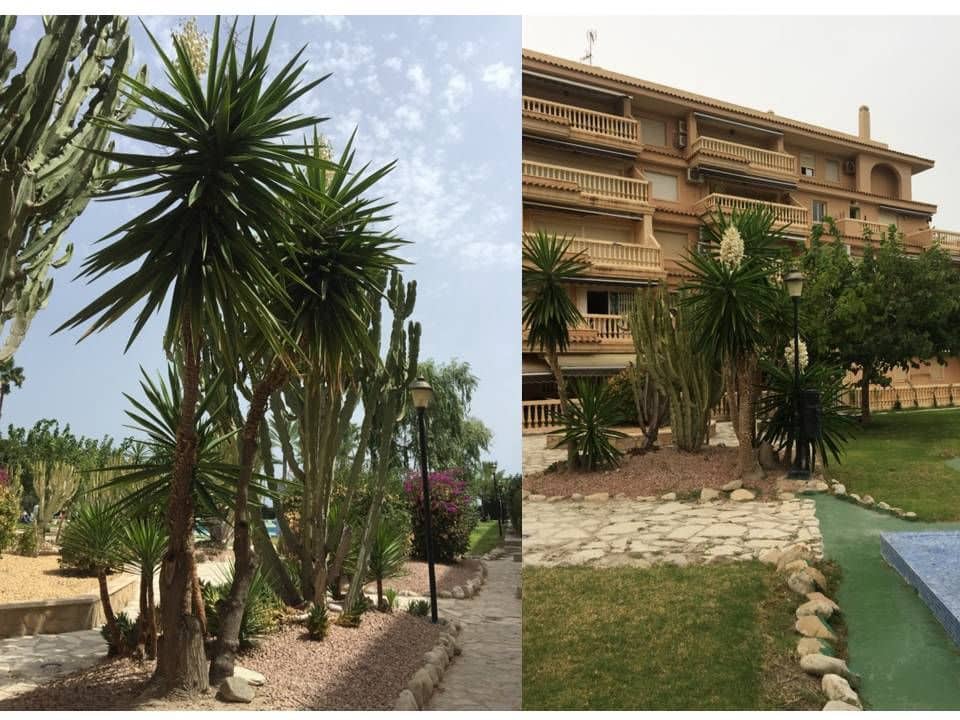 3 bedroom Flat for sale in El Campello with pool garage - € 360,000 (Ref: 8697596)