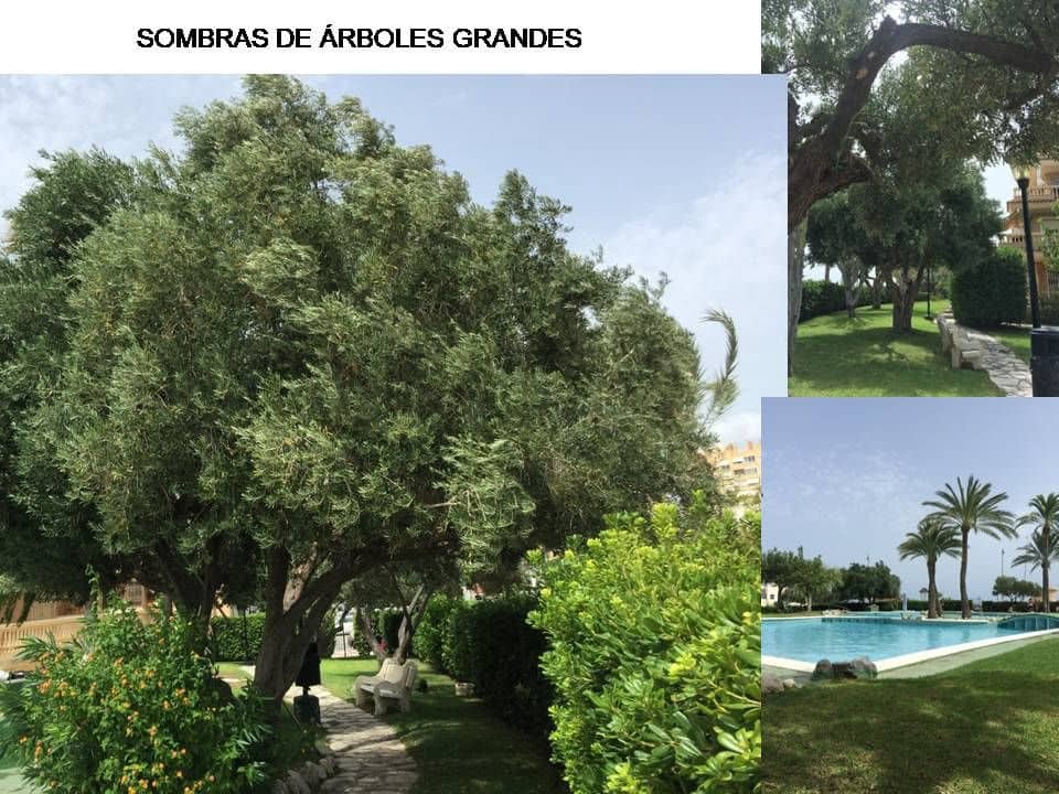 3 bedroom Flat for sale in El Campello with pool garage - € 360,000 (Ref: 8697596)