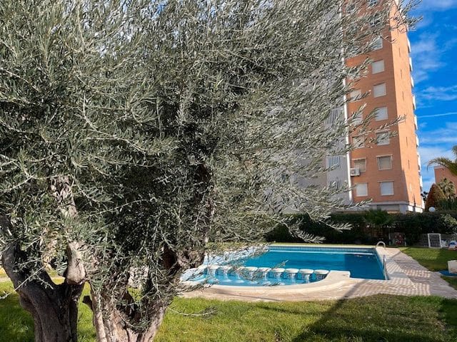 2 makuuhuone Asunto vuokrattavana paikassa Alicante kaupunki mukana uima-altaan 
autotalli - 1 400 € (Ref: 8720088)