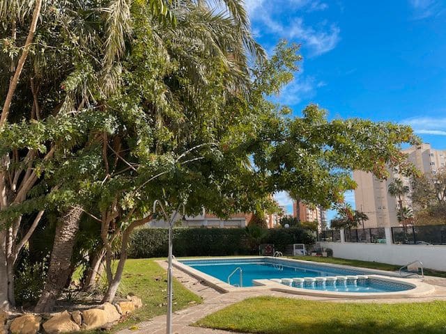 2 makuuhuone Asunto vuokrattavana paikassa Alicante kaupunki mukana uima-altaan 
autotalli - 1 400 € (Ref: 8720088)