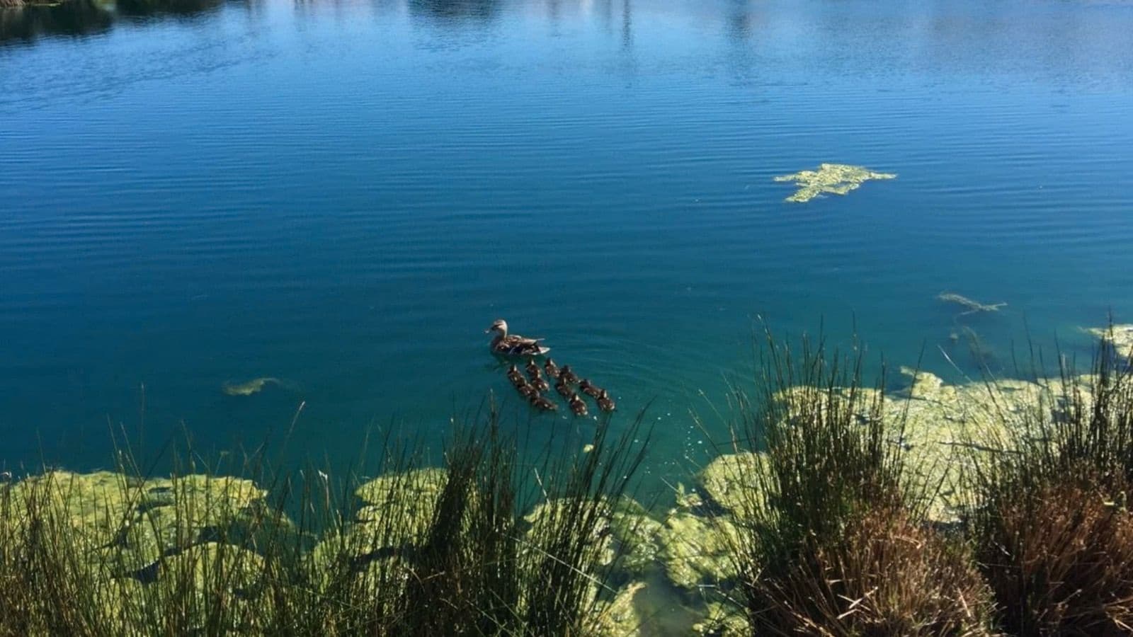 Bouwgrond te koop in Alicante stad - € 1.380.000 (Ref: 8824505)