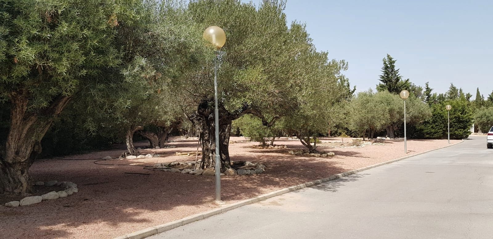 5 camera da letto Villa in vendita in Alicante citta con piscina garage - 2.500.000 € (Rif: 8830504)