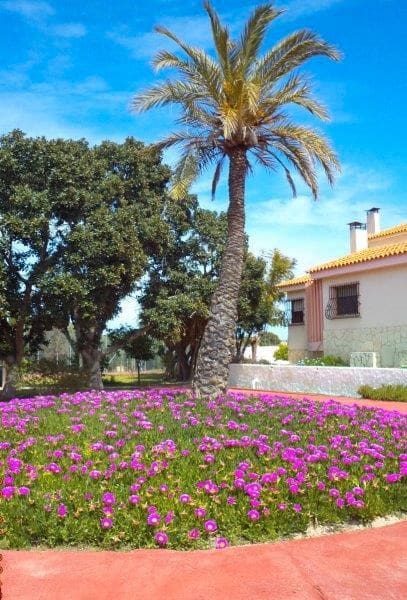 6 bedroom Villa for sale in Muchamiel / Mutxamel with pool garage - € 750,000 (Ref: 8912518)
