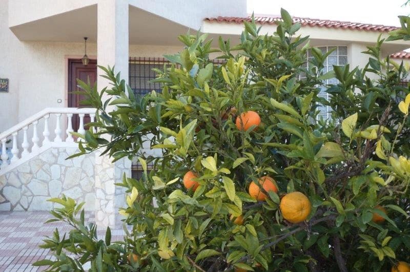 6 bedroom Villa for sale in Muchamiel / Mutxamel with pool garage - € 750,000 (Ref: 8912518)