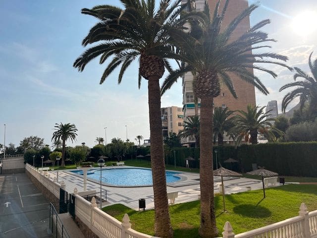 2 bedroom Flat for rent in Alicante / Alacant city with pool garage - € 1,250 (Ref: 9158696)