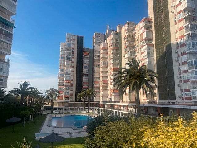 2 bedroom Flat for rent in Alicante / Alacant city with pool garage - € 1,250 (Ref: 9158696)
