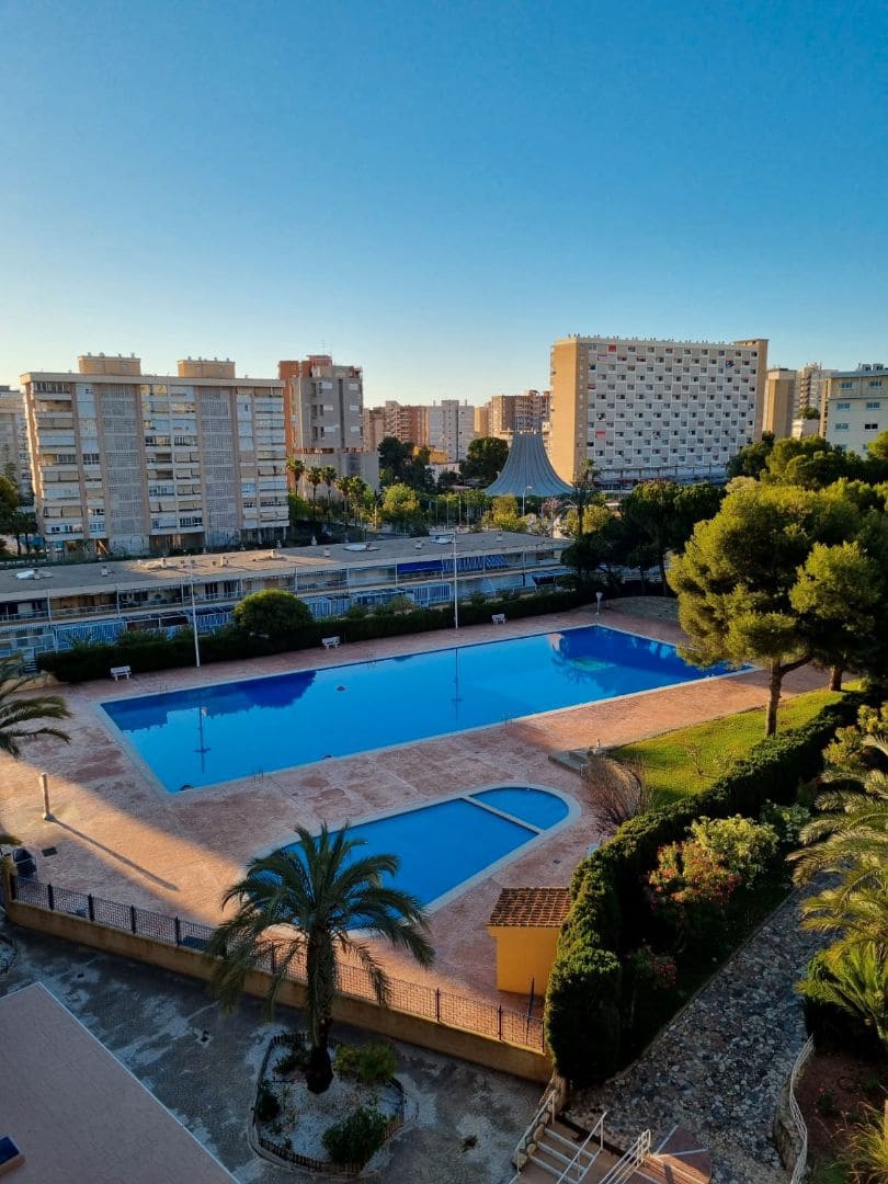 1 bedroom Flat for rent in Alicante / Alacant city with pool garage - € 825 (Ref: 9186499)